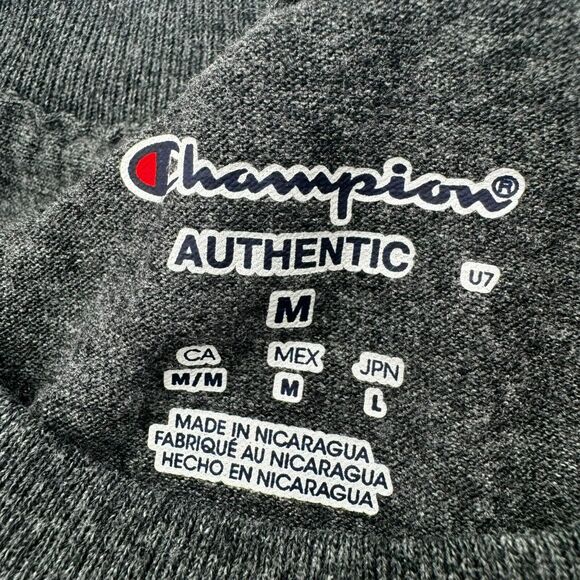 TEMPLE UNIVERSITY Medium Vintage Gray Champion Hooter Owl Mascot tee t-shirt‎ - Picture 5 of 7